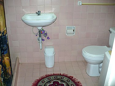 Ba&ntilde;o de la habitacion triple 