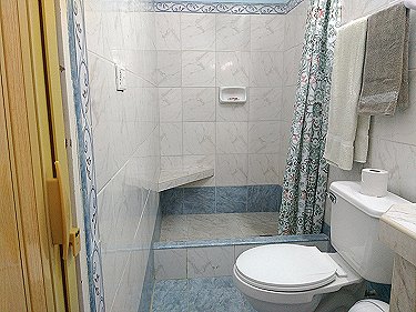 Ba&ntilde;o (zona inodoro y ducha)