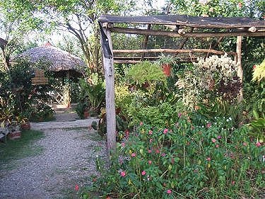 Jardin exterior