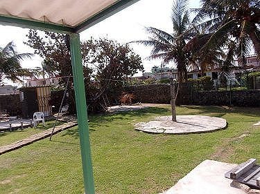 Jardin