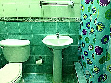 Ba&ntilde;o privado