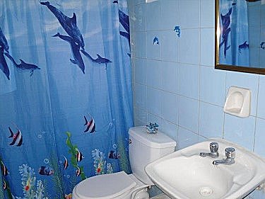 Ba&ntilde;o 1