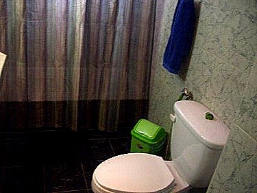 Ba&ntilde;o (detalle) 