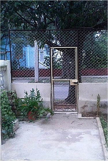 Terraza