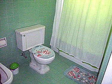 Ba&ntilde;o Casa con Piscina