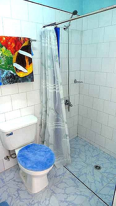 Ba&ntilde;o