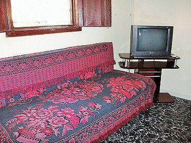 Sofa cama en la sala del apartamento